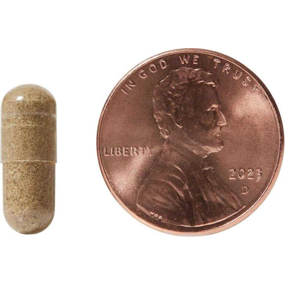 Natura Petz Organics Stone Breaker Starter Pack for Cats