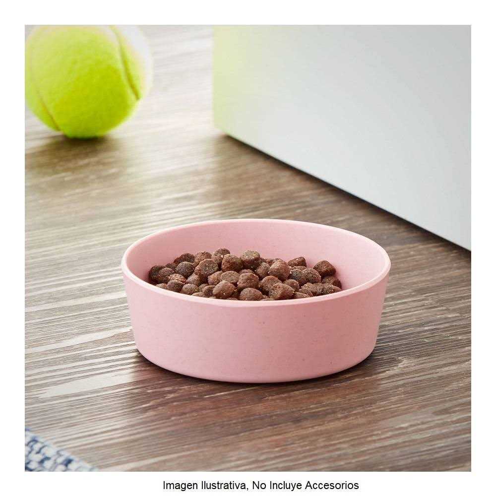 Vibrant Life Bamboo Melamine Dog Bowl