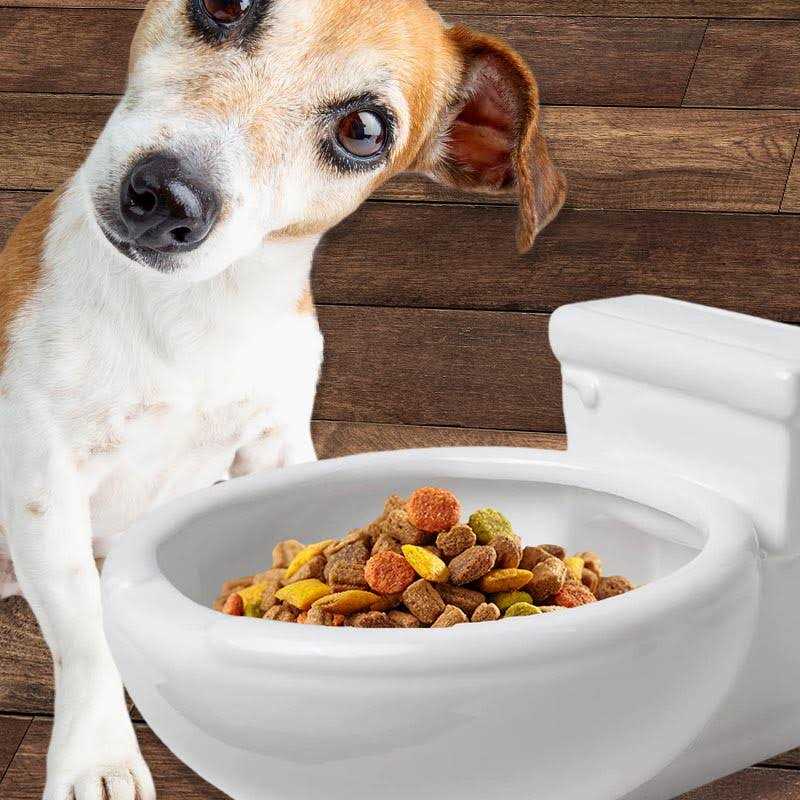 Kwirkworks Toilet Bowl pet Bowl
