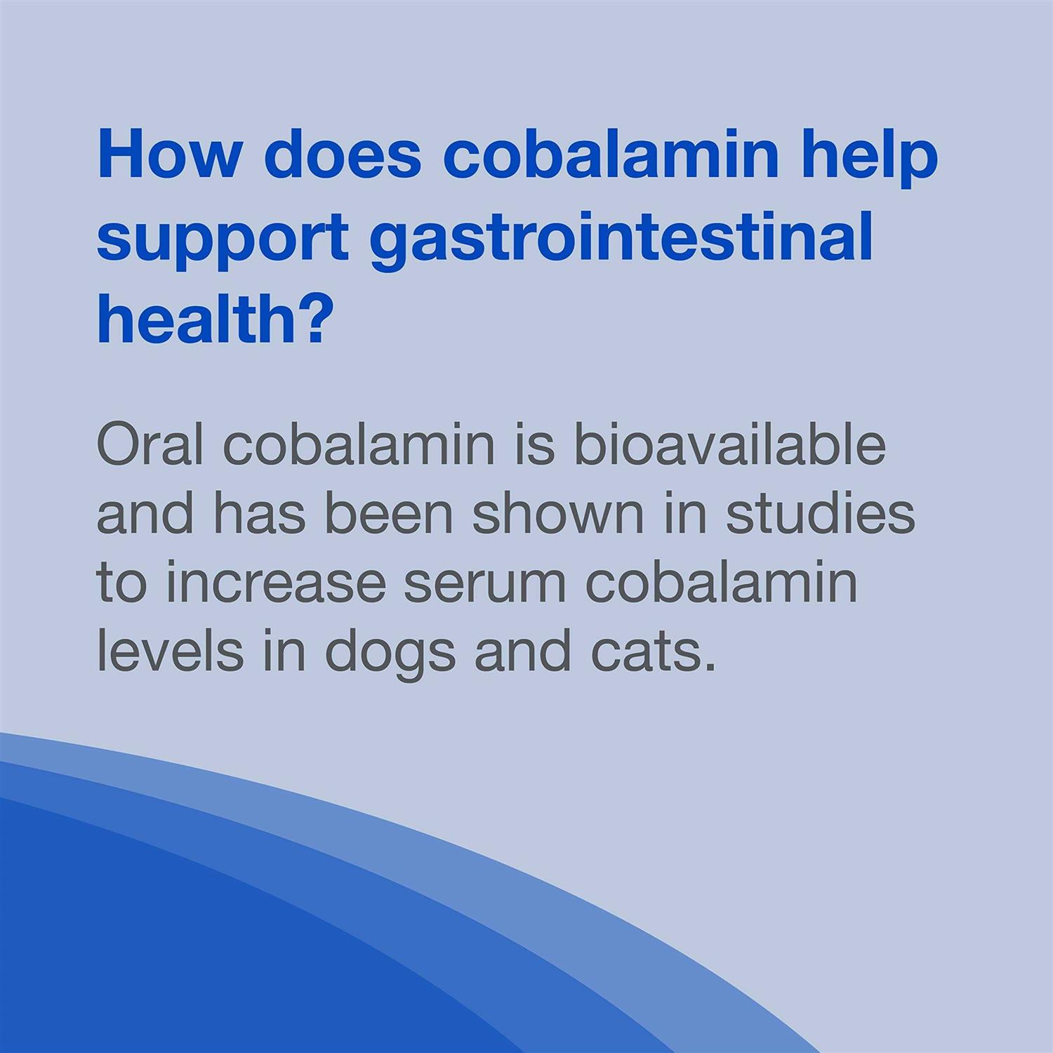 Nutramax Cobalequin B12 Supplement Dogs