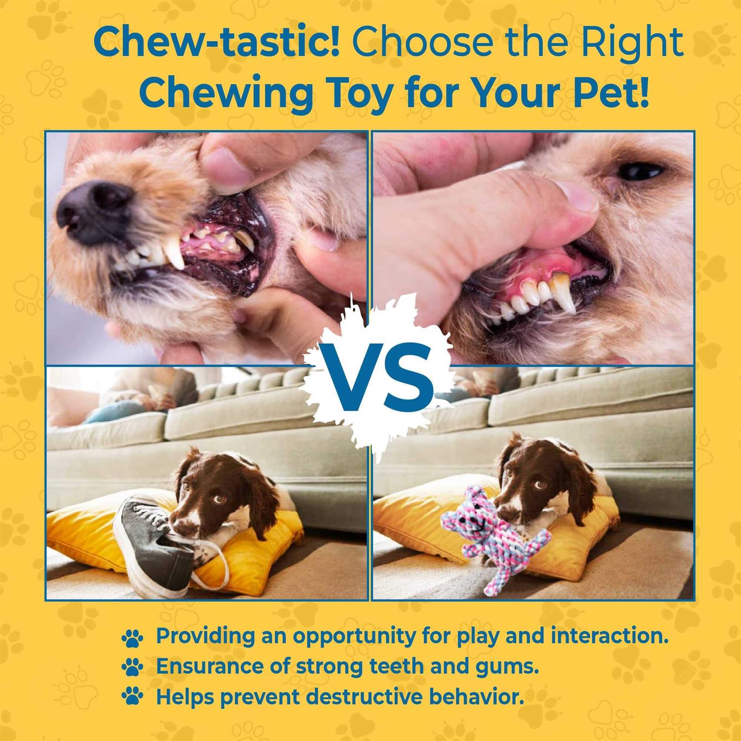 SunGrow Teddy Bear teething Toy, for ferret & dogs, knotted soft cotton rope material, for puppies and Small breeds