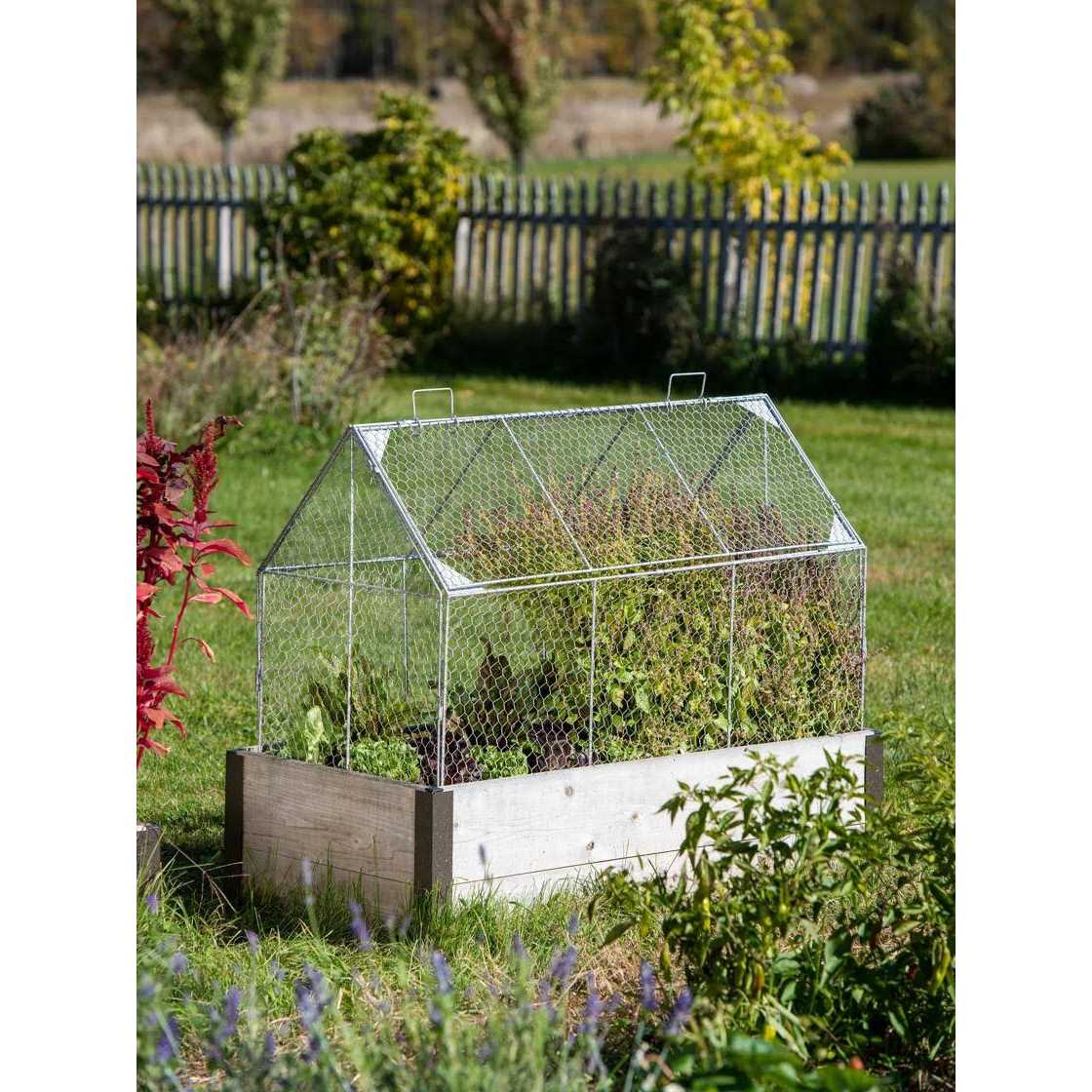 Chicken Wire Crop Coop