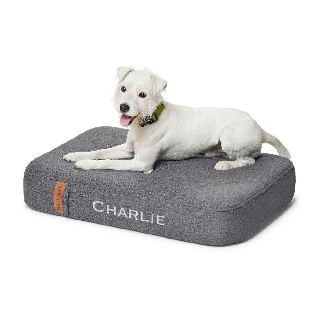 Orvis RecoveryZone Lounger Dog Bed