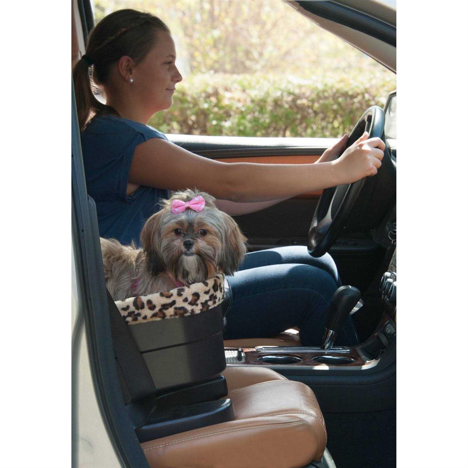 Pet Gear Bucket Booster Seat
