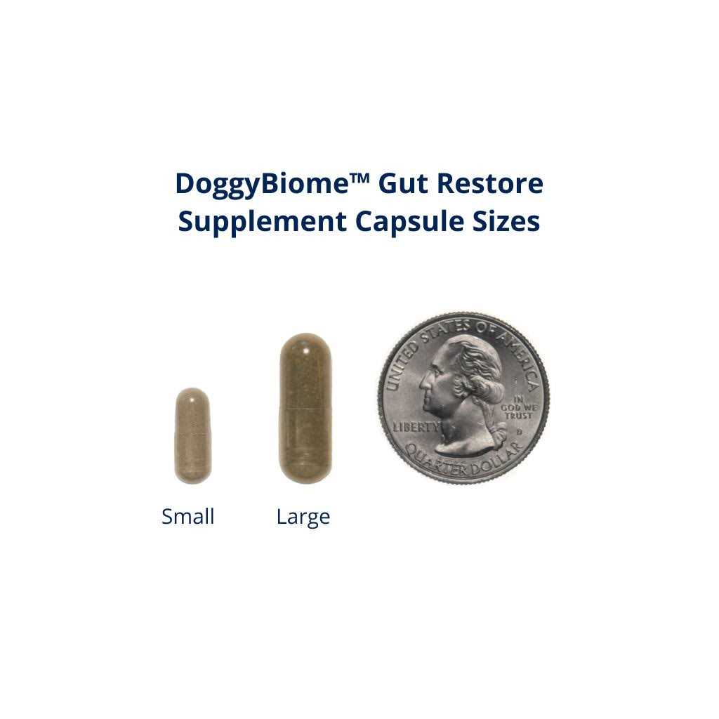 DoggyBiome Gut Restore Supplement 30 Capsules