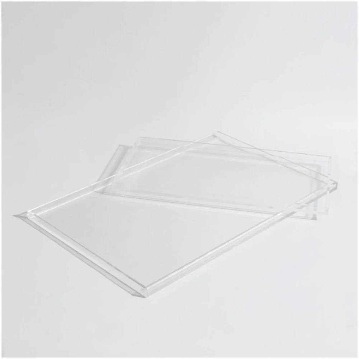 Hiddin Clear Overflow Feeder Tray