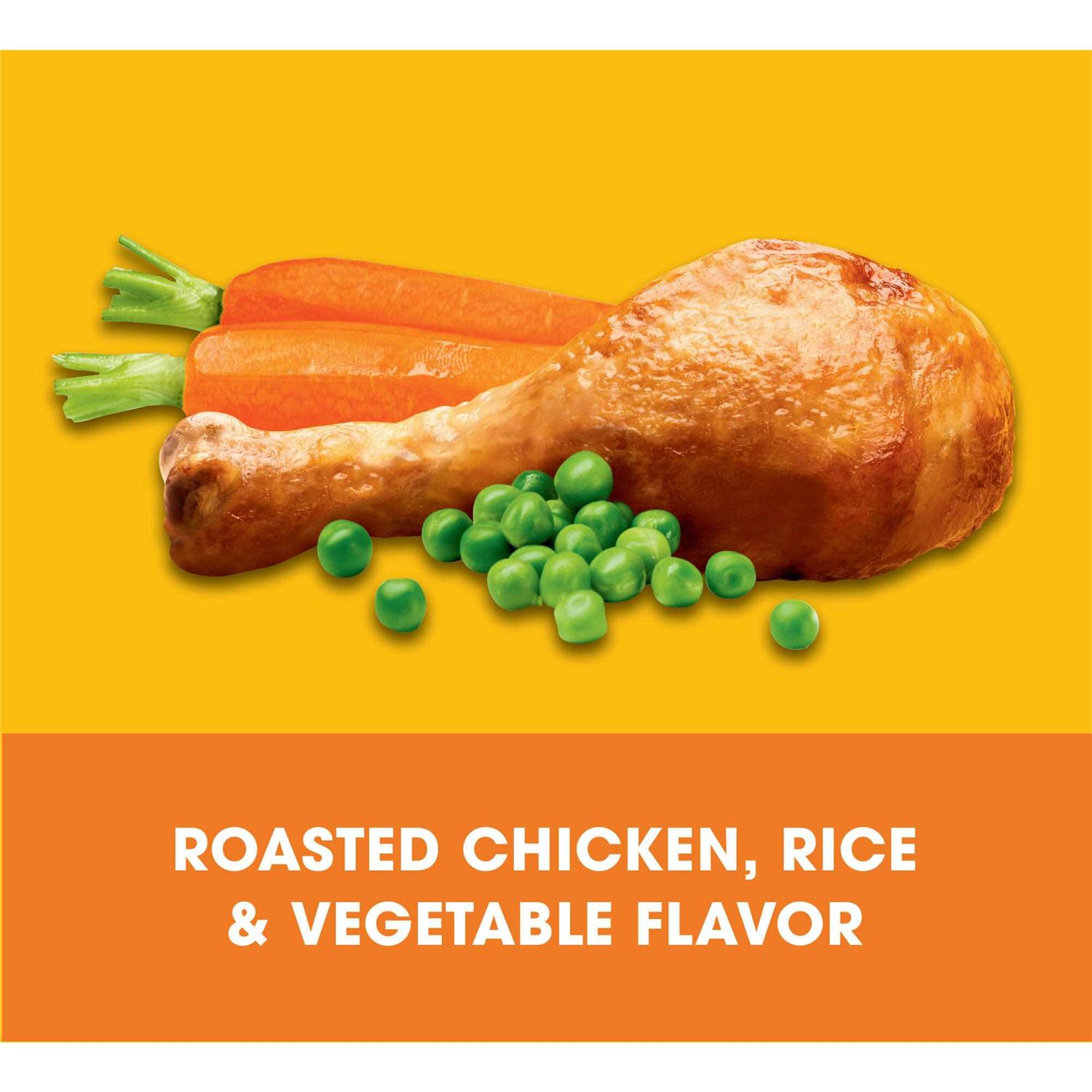 Pedigree Complete Nutrition Roasted Chicken Rice & Vegetable Flavor Small Dog Adult Dry Dog Food