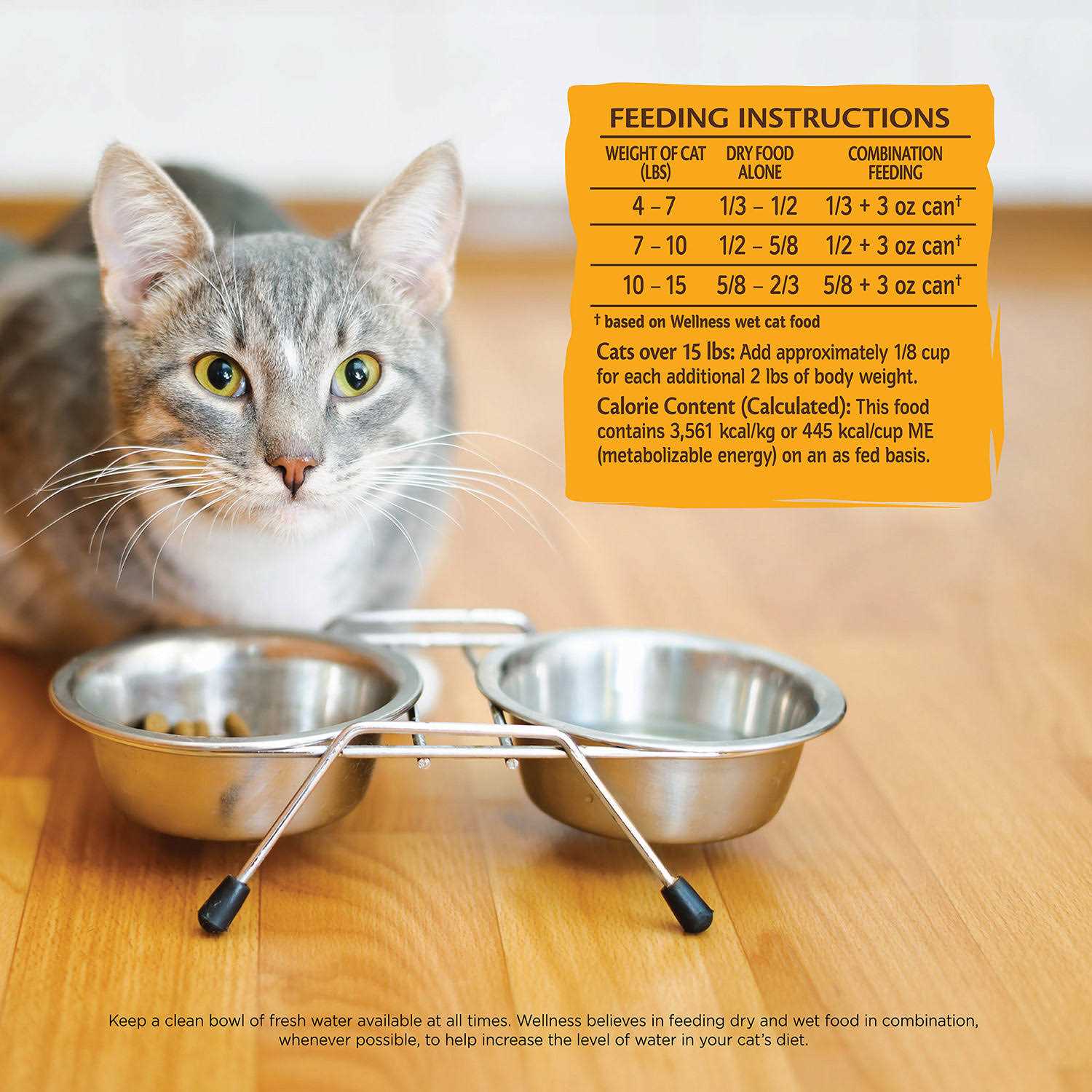 Wellness Core Dry Cat Food