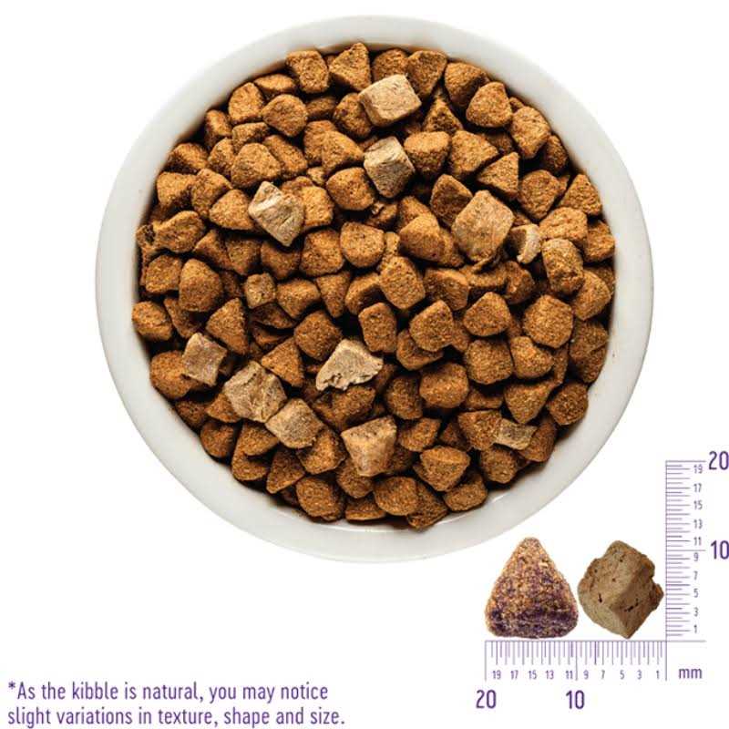 Wellness Core RawRev Natural Grain Free Wild Game Freeze Dried Dry Dog Food