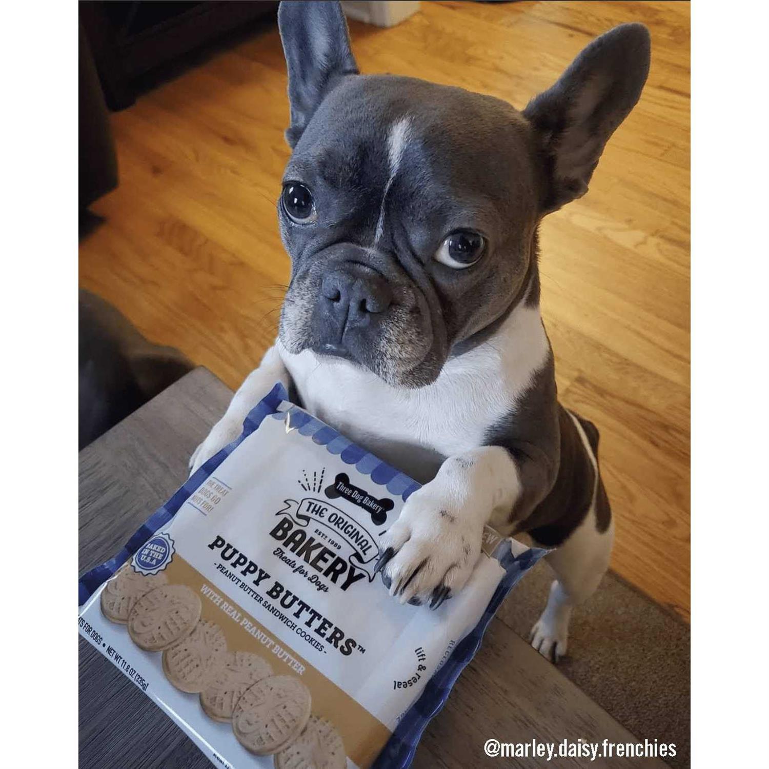 Three Dog Bakery Puppy Butters Peanut Butter Cookies Dogs Treats