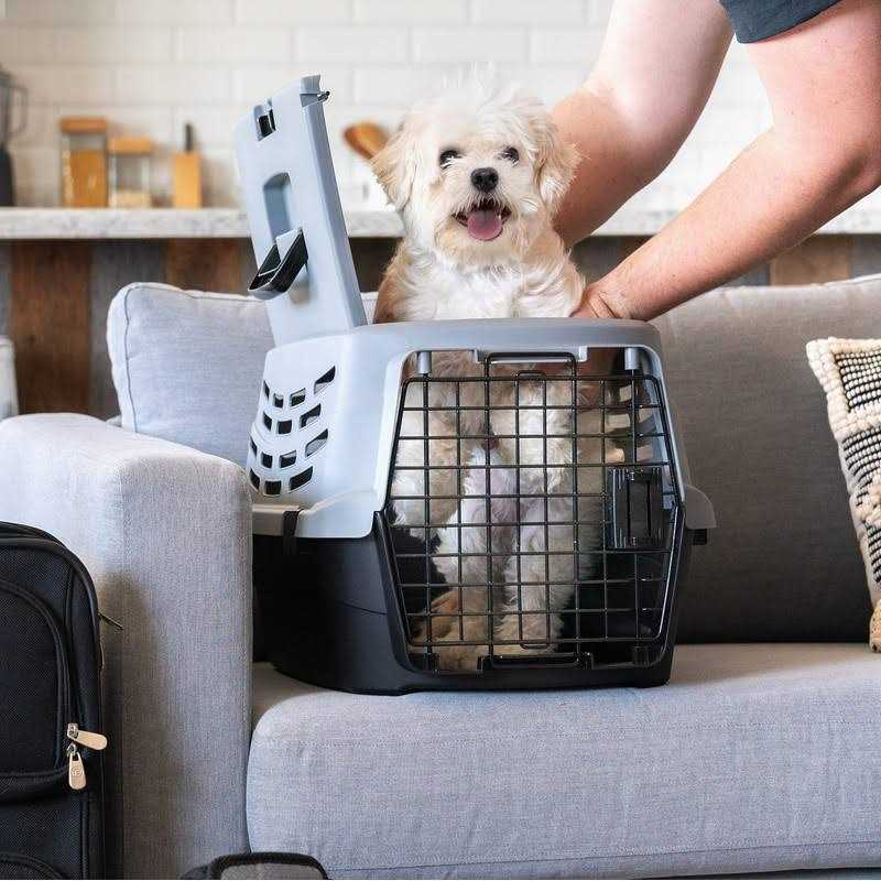 IRIS USA Small Pet Travel Carrier with Front and Top Access