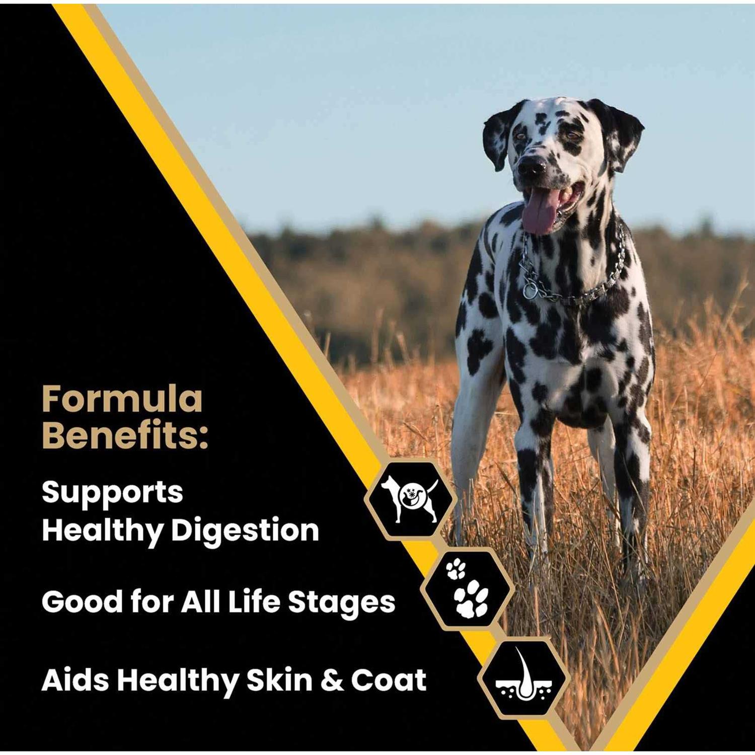 Victor Multi-Pro Dog Food