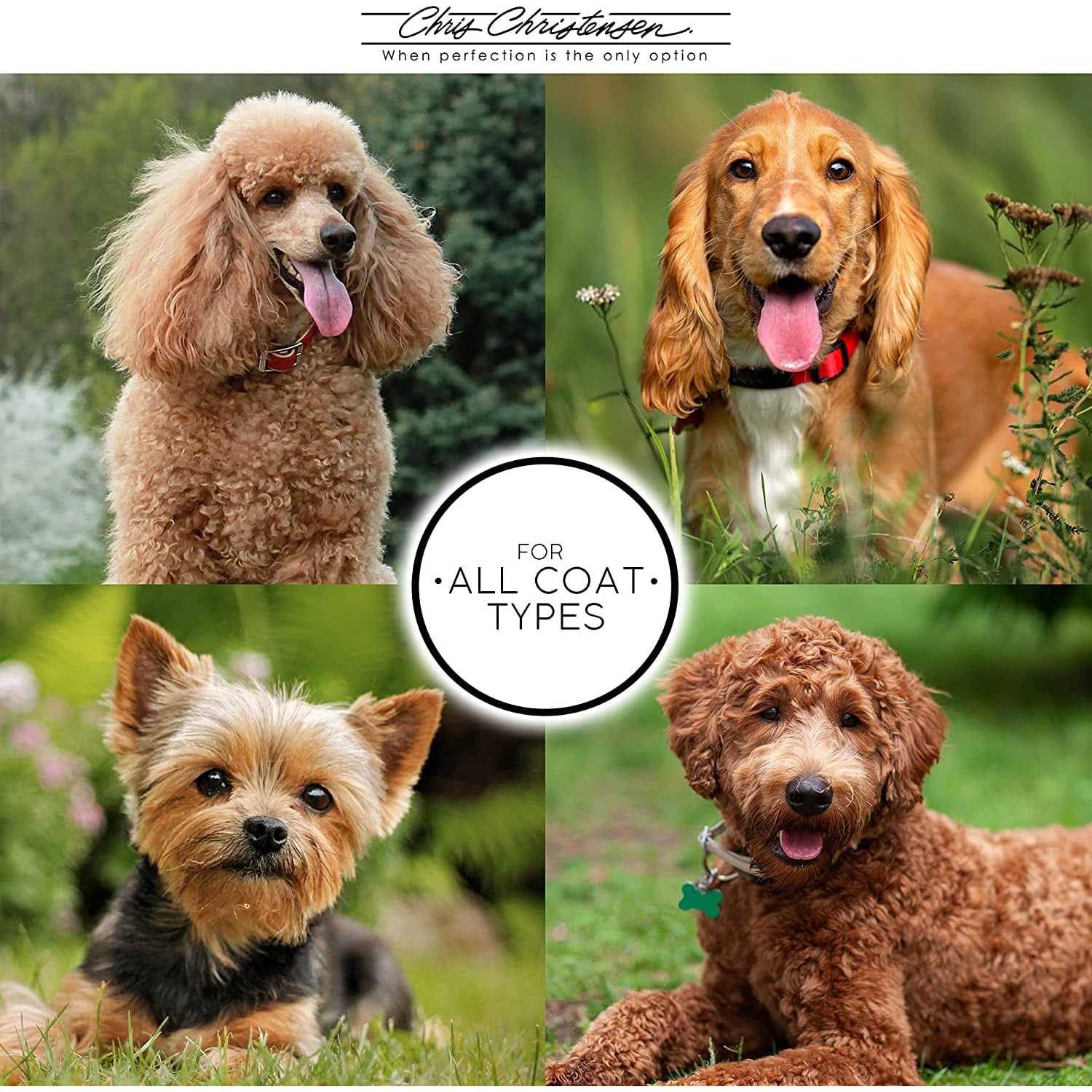 Chris Christensen Just Divine Brushing Spray