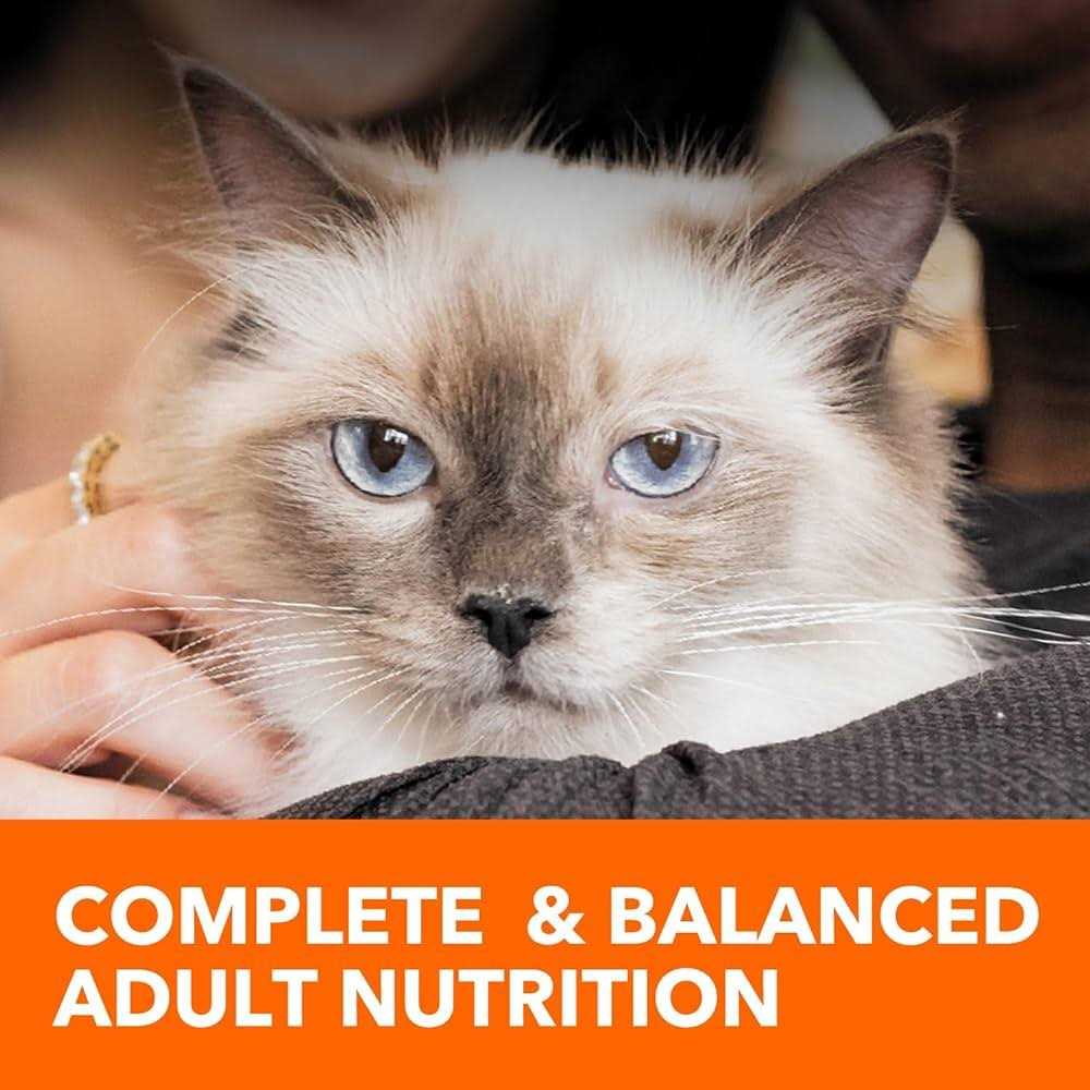 Iams Proactive Health Adult Sensitive Digestion & Skin Dry Cat Food