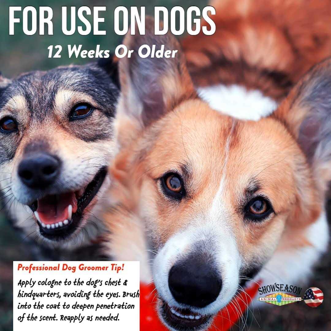 South Bark Blueberry-Clove Pet Cologne