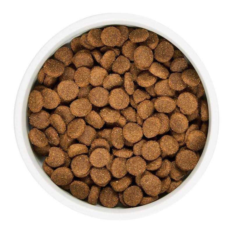 WholeHearted Grain Free All Life Stages Lamb and Lentil Formula Dry Dog Food