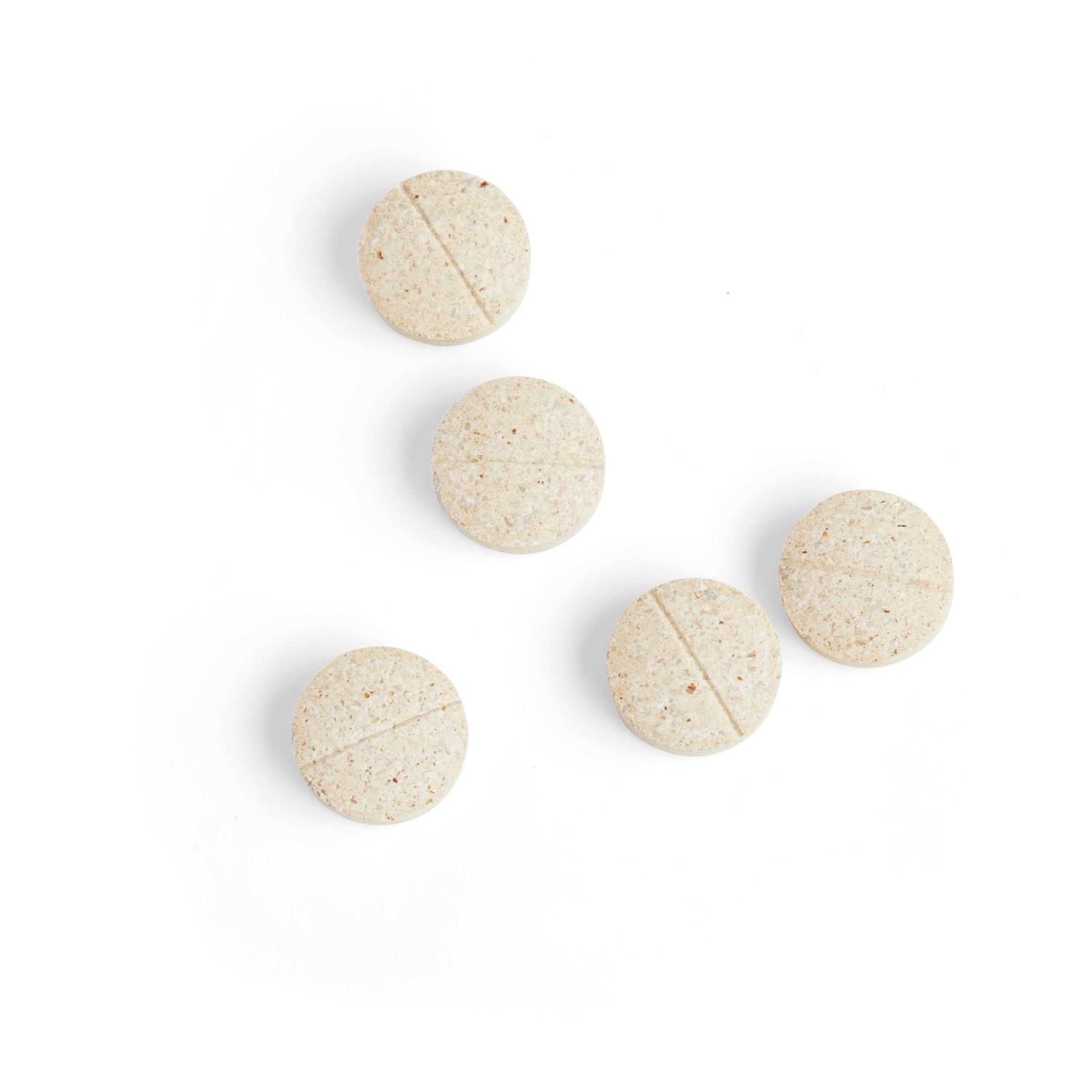 Well & Good Digestive Enzymes & Probiotics Tablets for Dogs