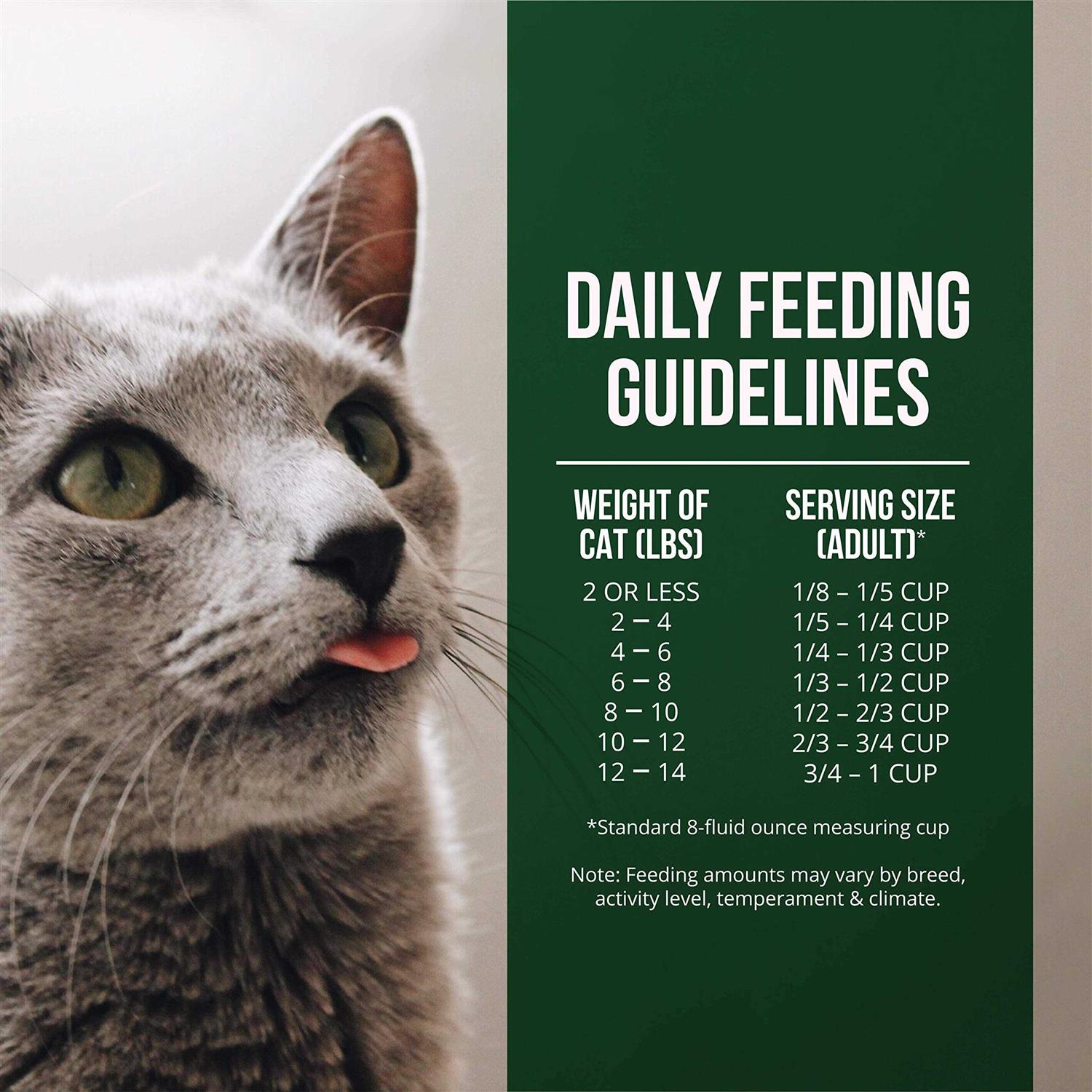 Fussie Cat Market Fresh Salmon Chicken Dry Cat Food