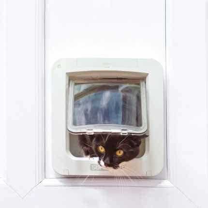 SureFlap Microchip Pet Door Connect Without Hub