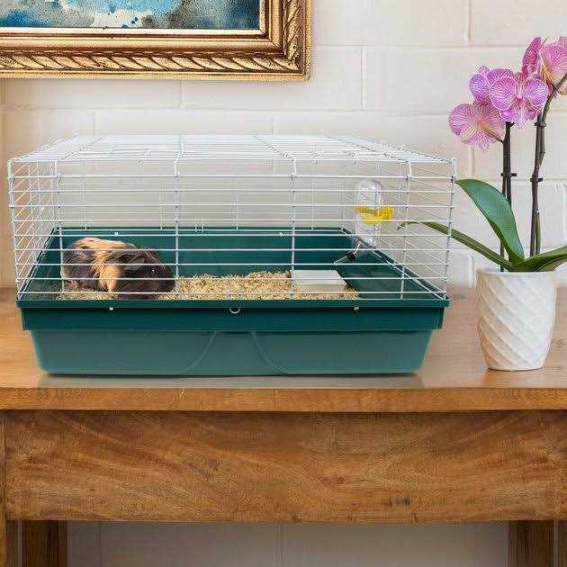 Pet Champion Small Animal Starter Kit