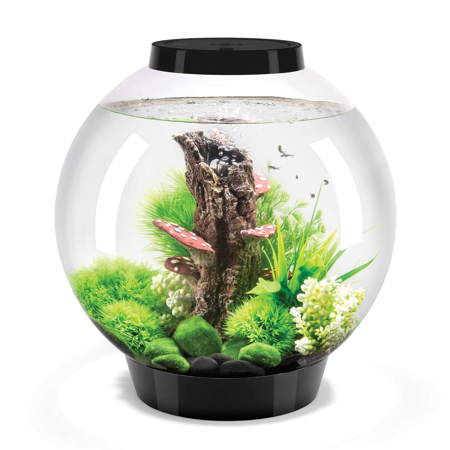 biOrb Classic 60 Aquarium with LED