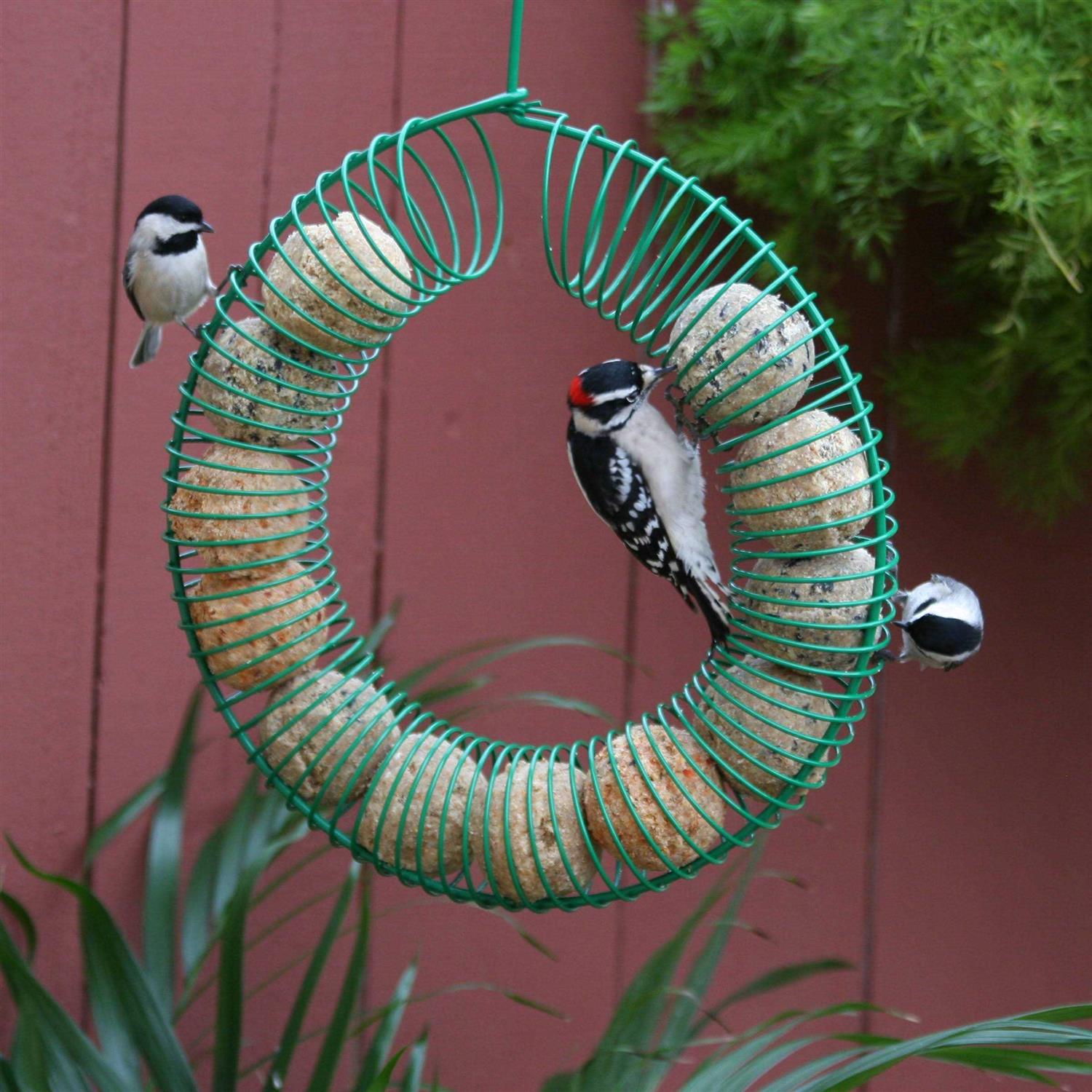 Pacific Bird & Supply Co Smorgasbug Suet Balls