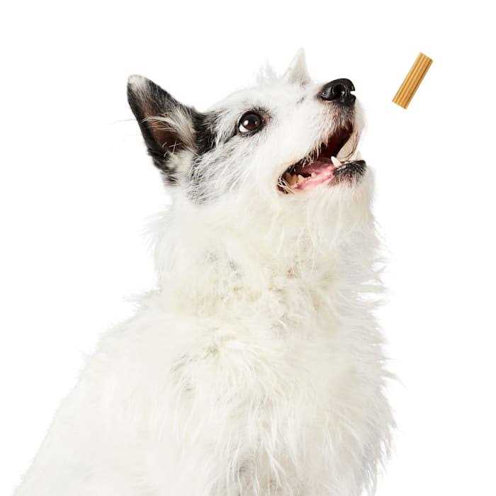 Project Hive Pet Company Chew Sticks Treats