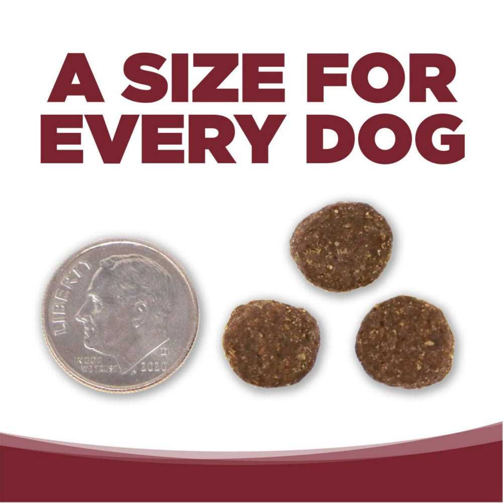 NutriSource Beef Rice Dry Dog Food