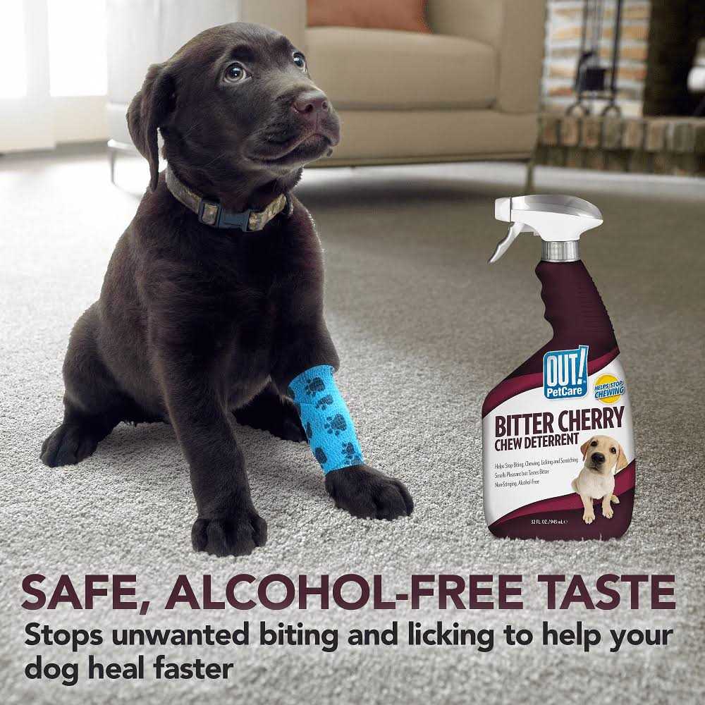 Out! PetCare Bitter Cherry Dog Chew Deterrent, Discourages Licking and Chewing