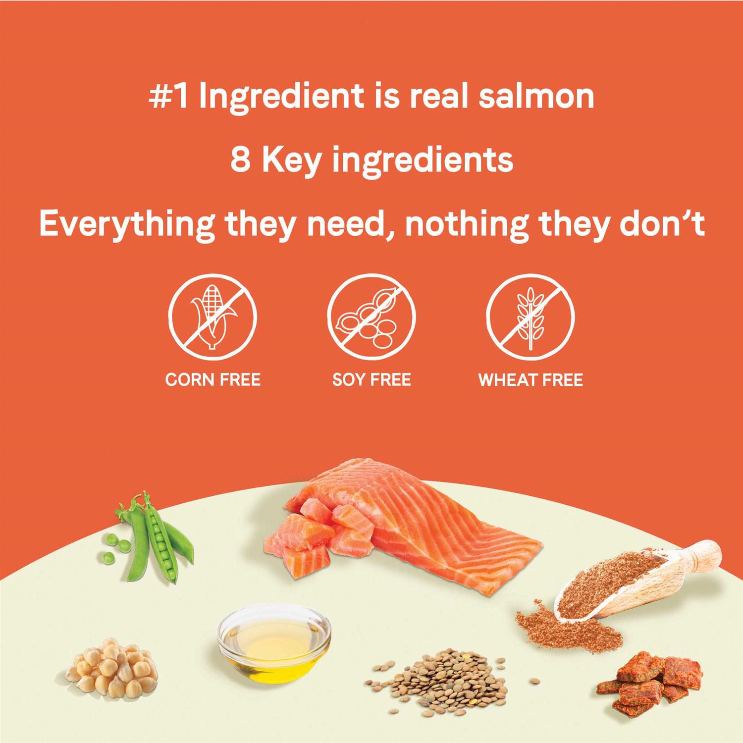 Canidae Pure Petite Small Breed Salmon Puppy Dry Dog Food