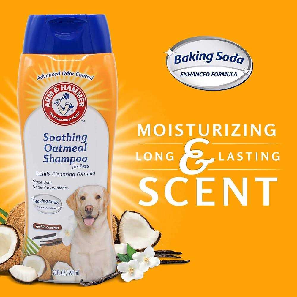 Arm & Hammer Soothing Oatmeal Shampoo for Pets