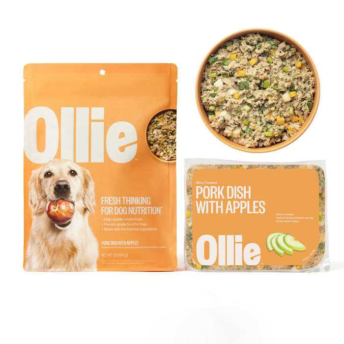 Ollie Fresh Pork Dish with Apples Frozen Dog Food
