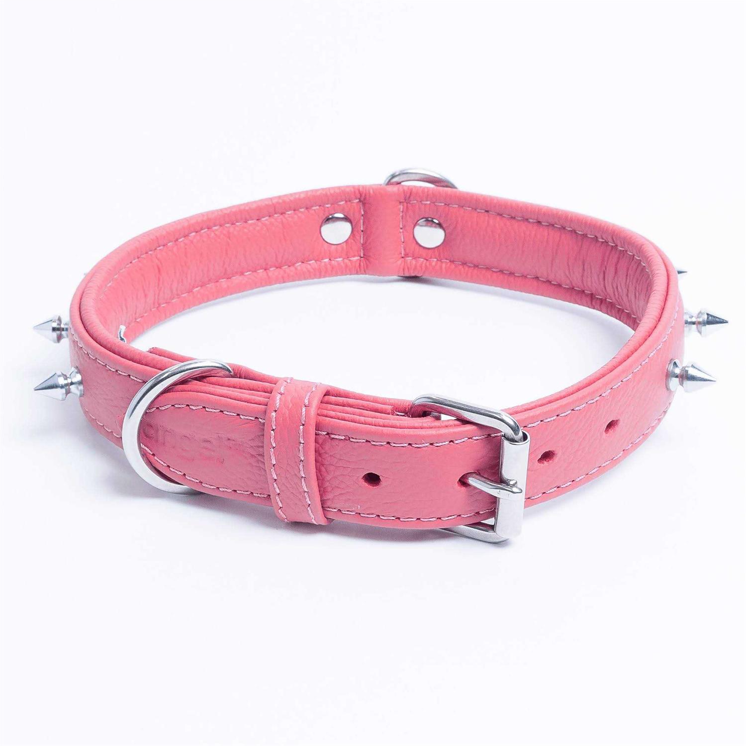 Rotterdam Dog Collar Spiked