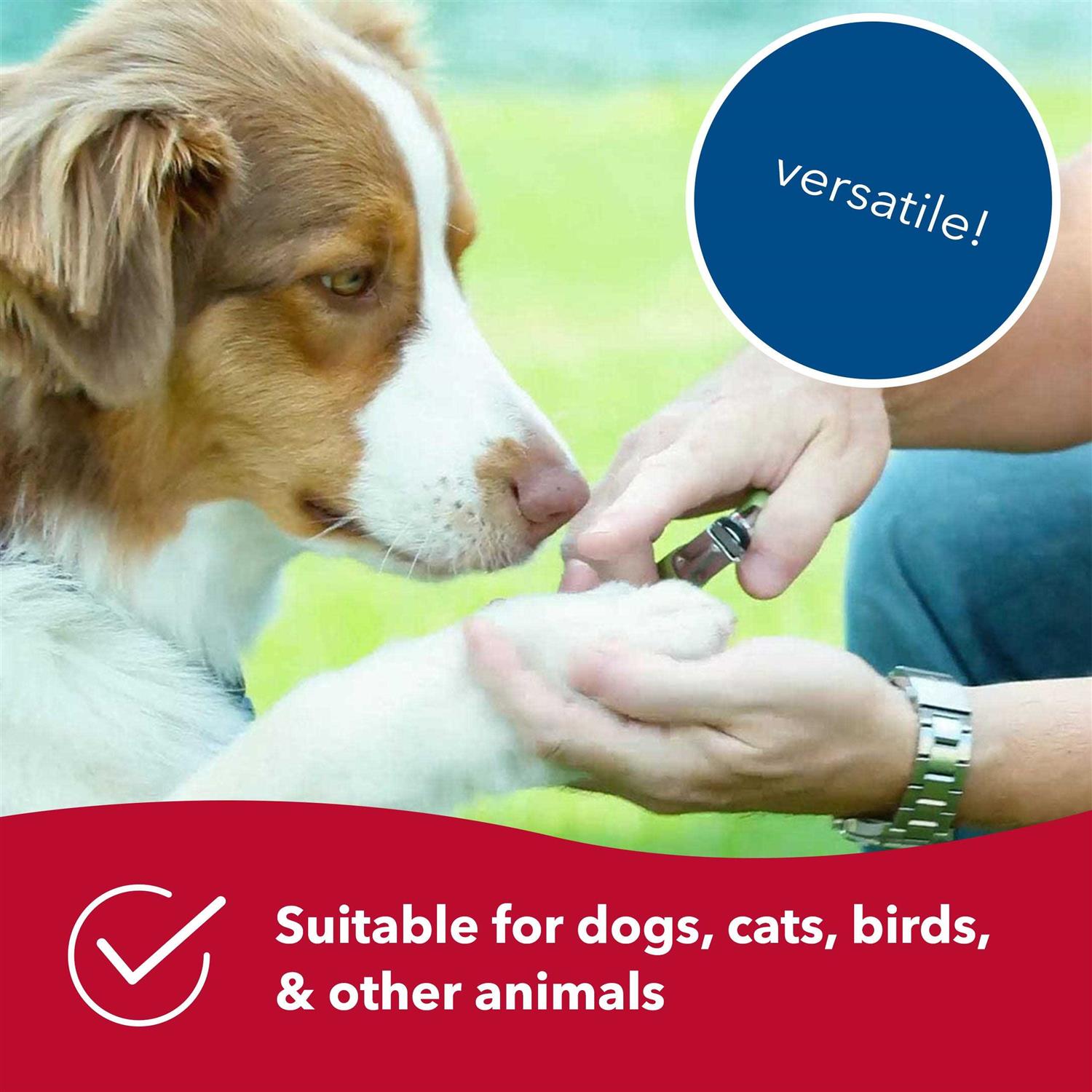 Safari Dog Guillotine Nail Trimmer