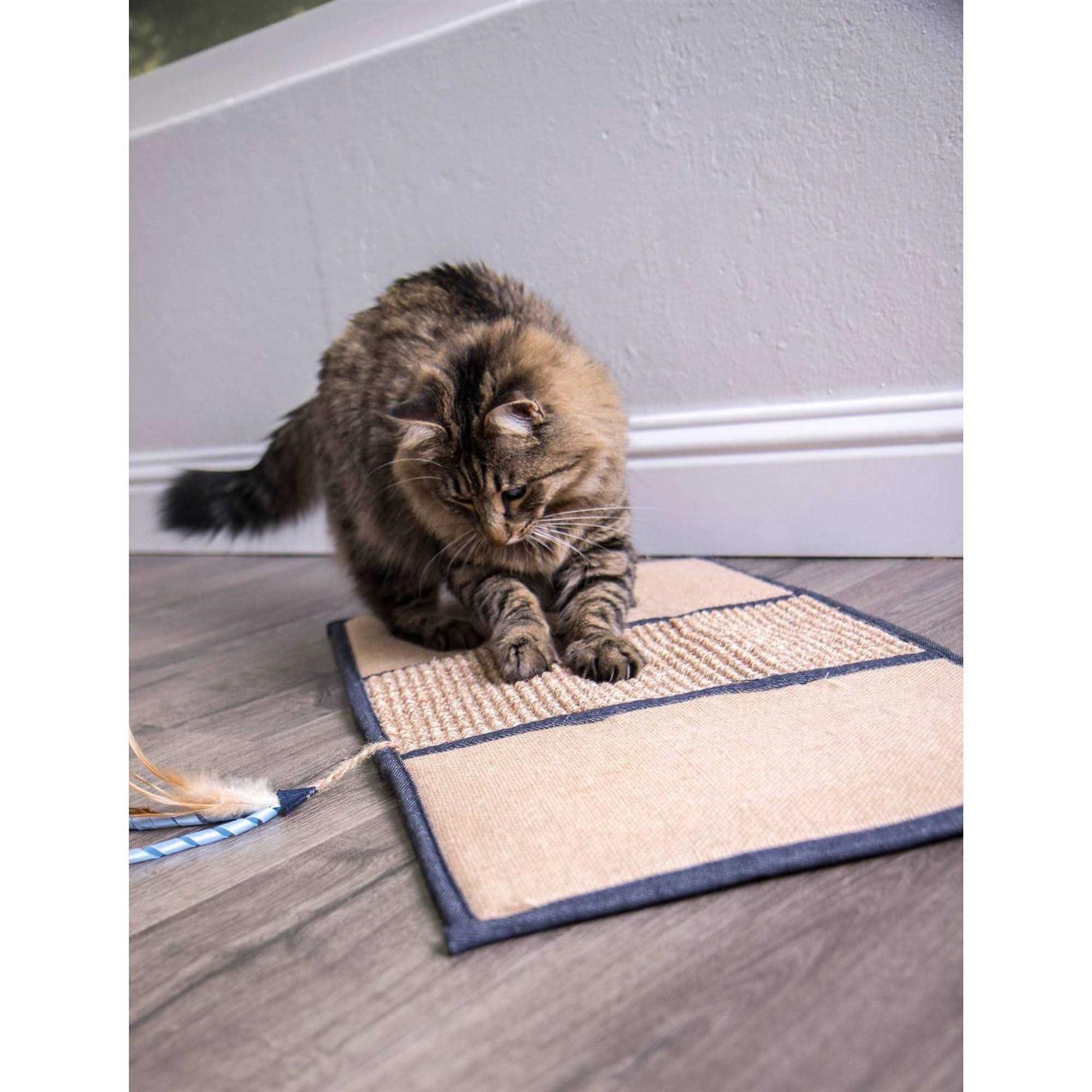 Petlinks Scratch & Play Cat Mat