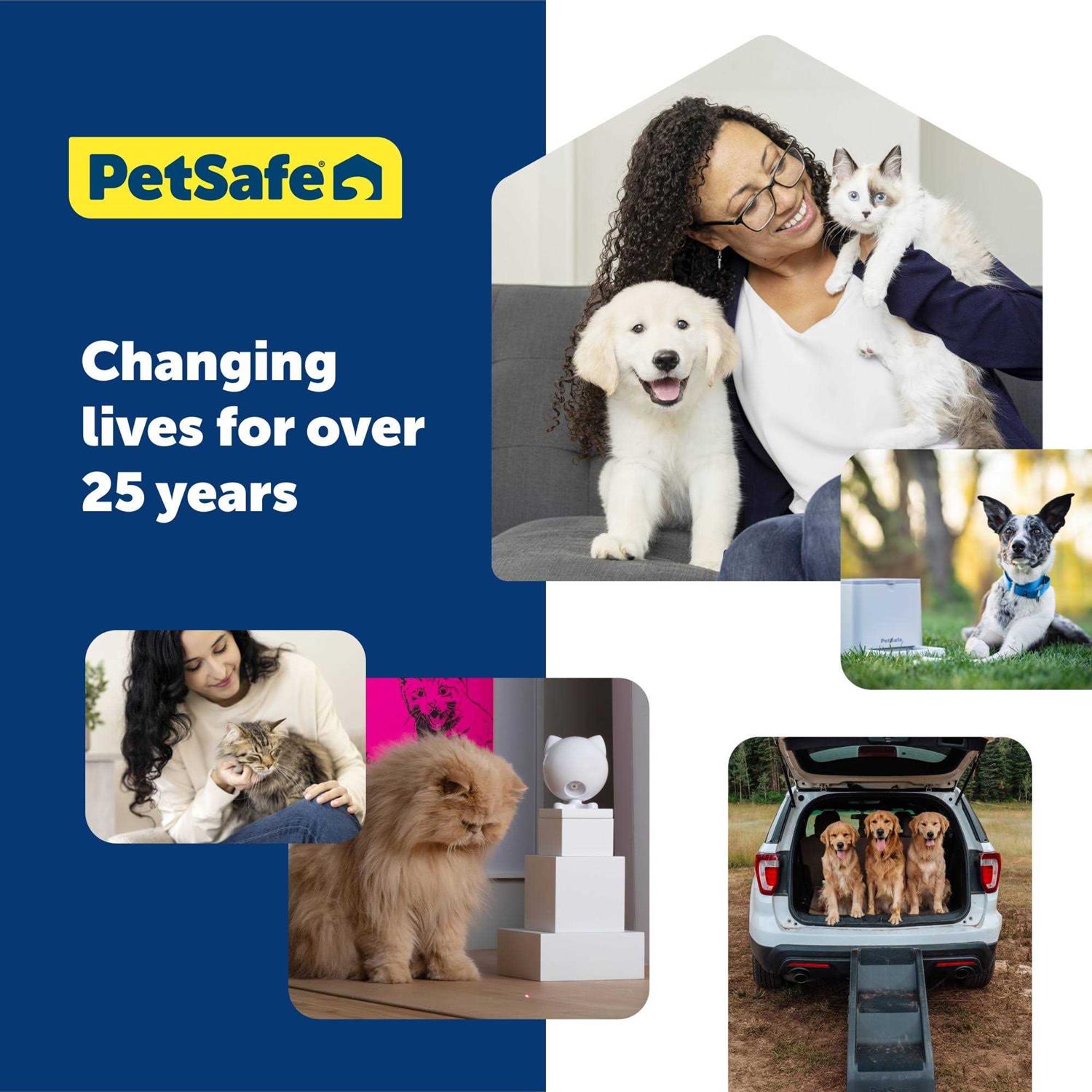 PetSafe Egg-Cersizer Cat Toy