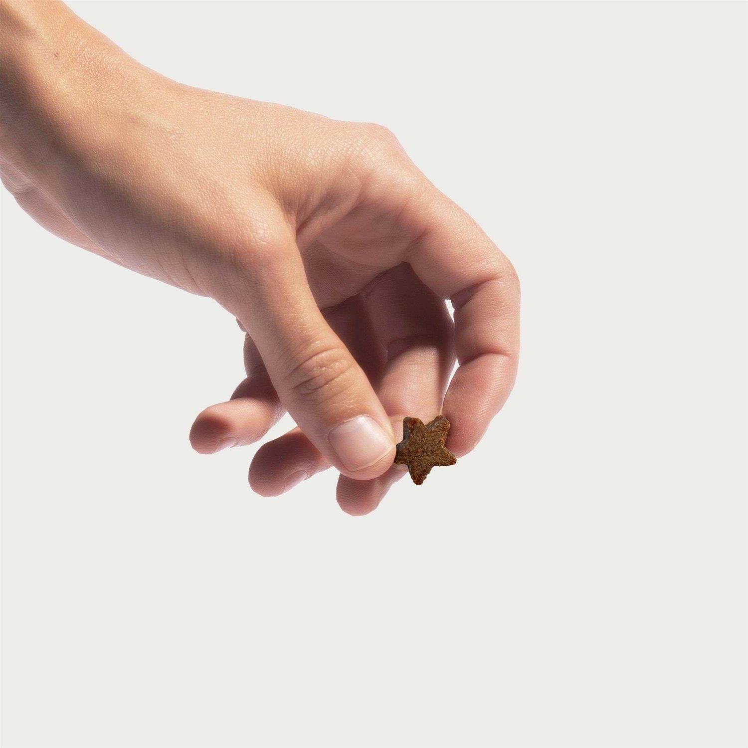 Jinx Beef Tiny Treats Natural Dog Training Treats