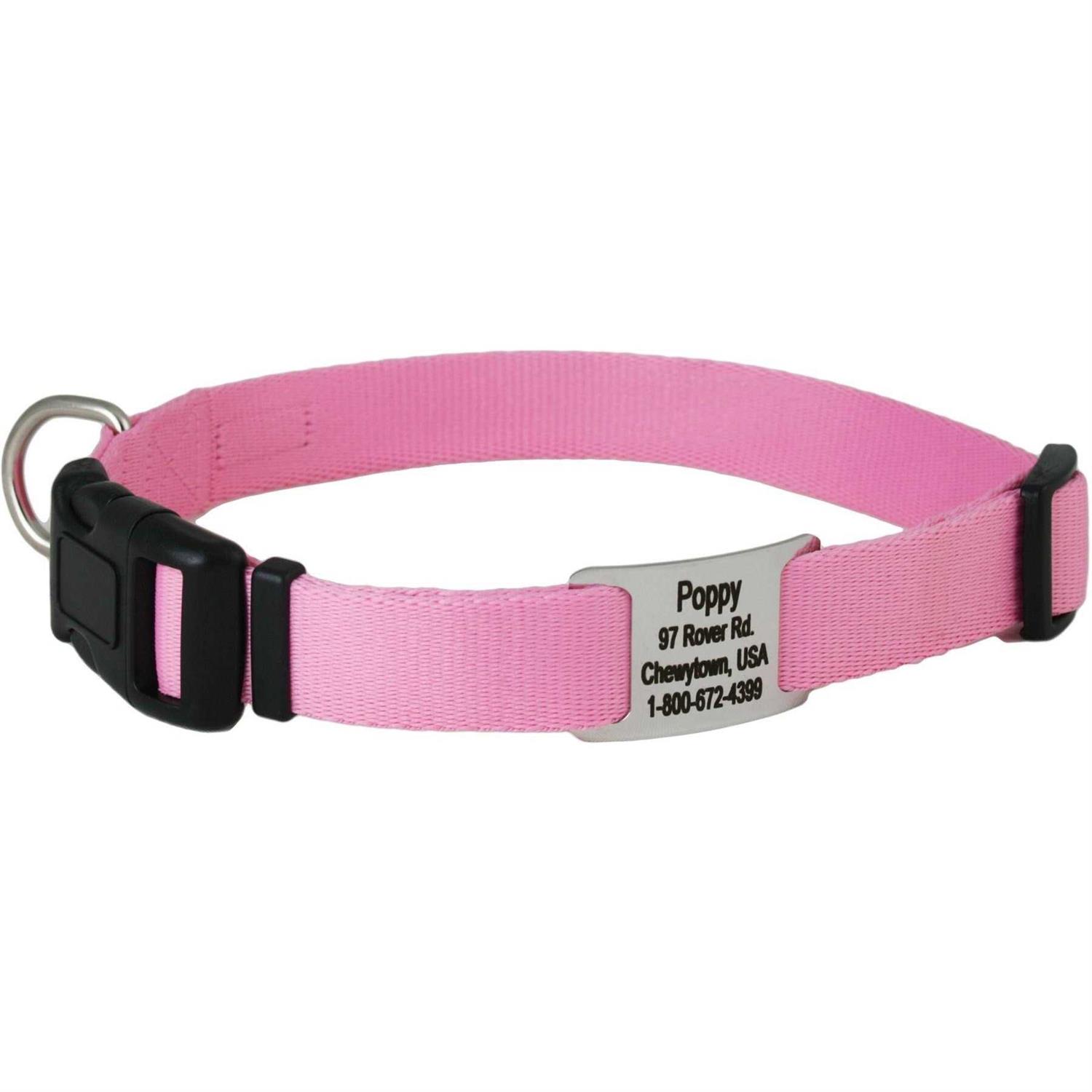 GoTags Adjustable Nameplate Personalized Dog Collar