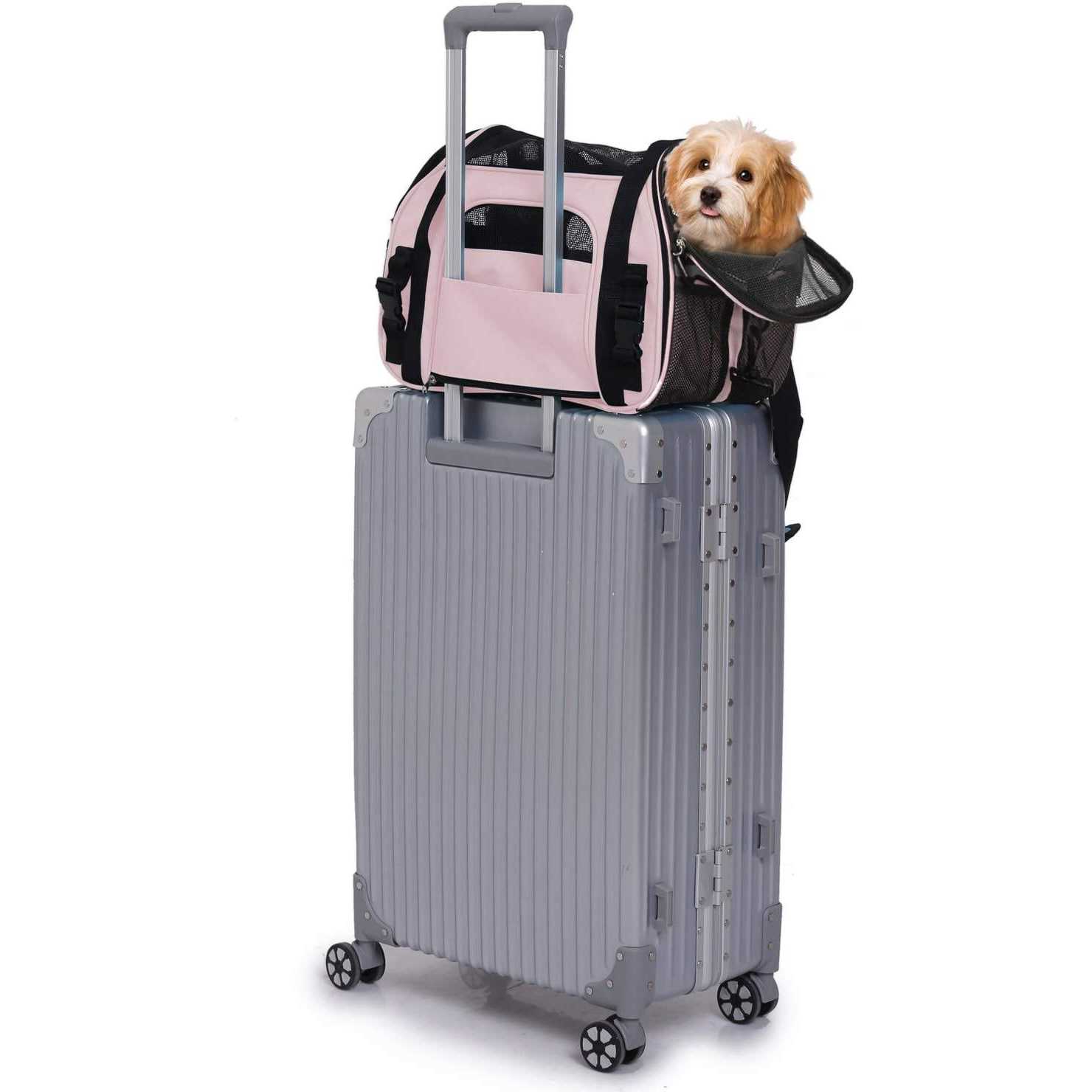 212 Main Soft Pet Carrier