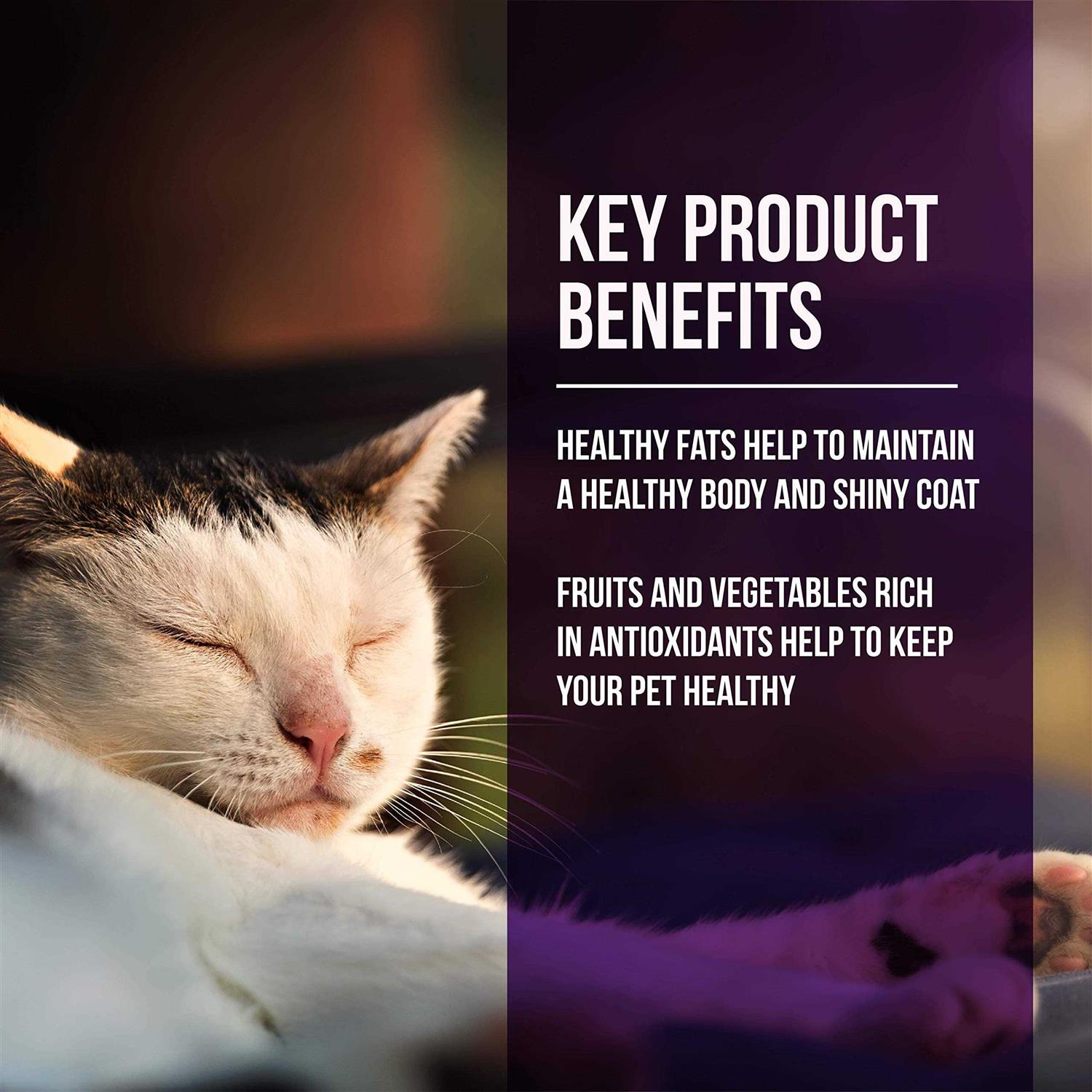 Fussie Cat Market Fresh Quail & Duck Meal Dry Cat Food