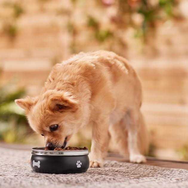 Frisco Travel Non-skid Stainless Steel Dog & Cat Bowl