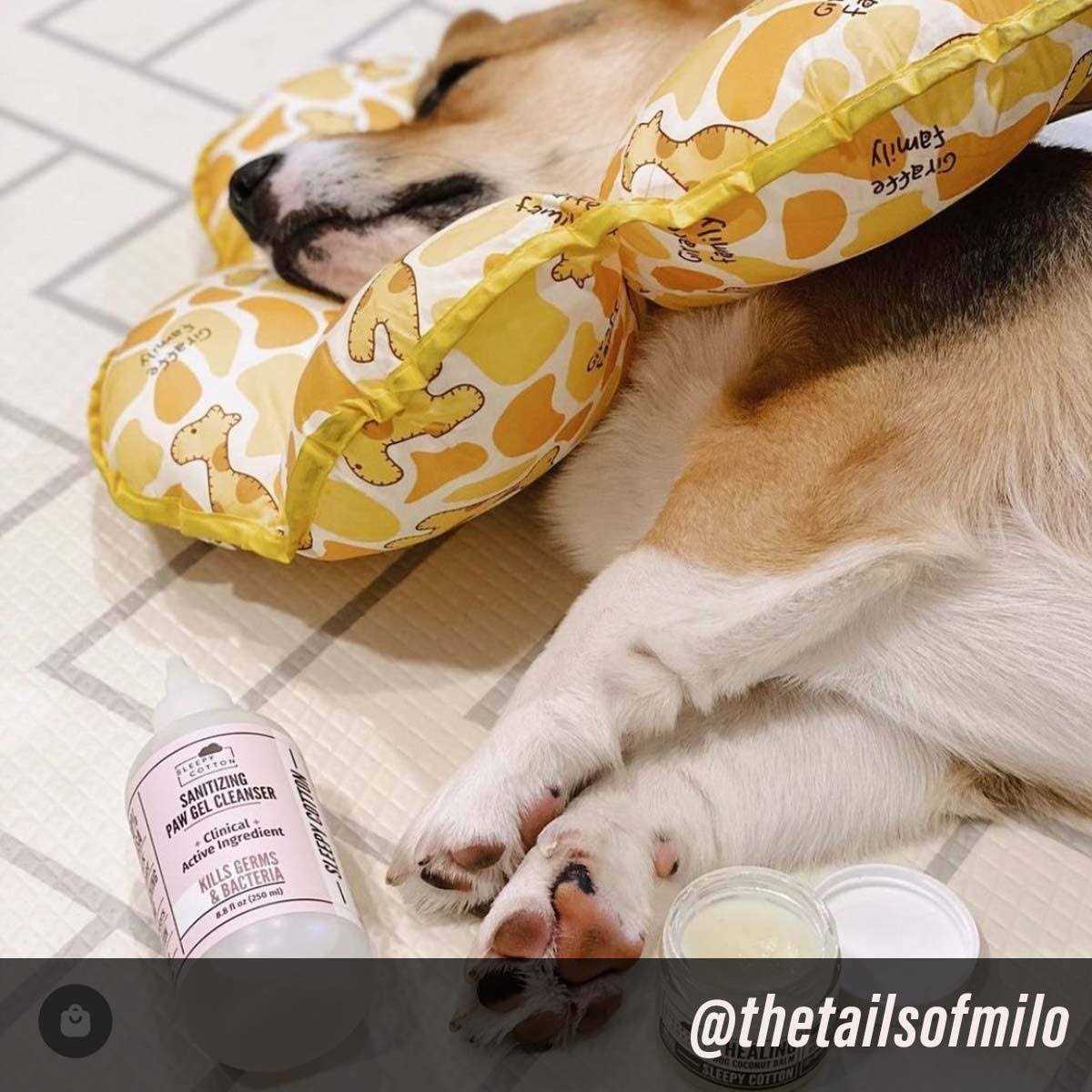 Put An End to Dog Paw Licking with Our Highly Effective Paw Gel Cleanser