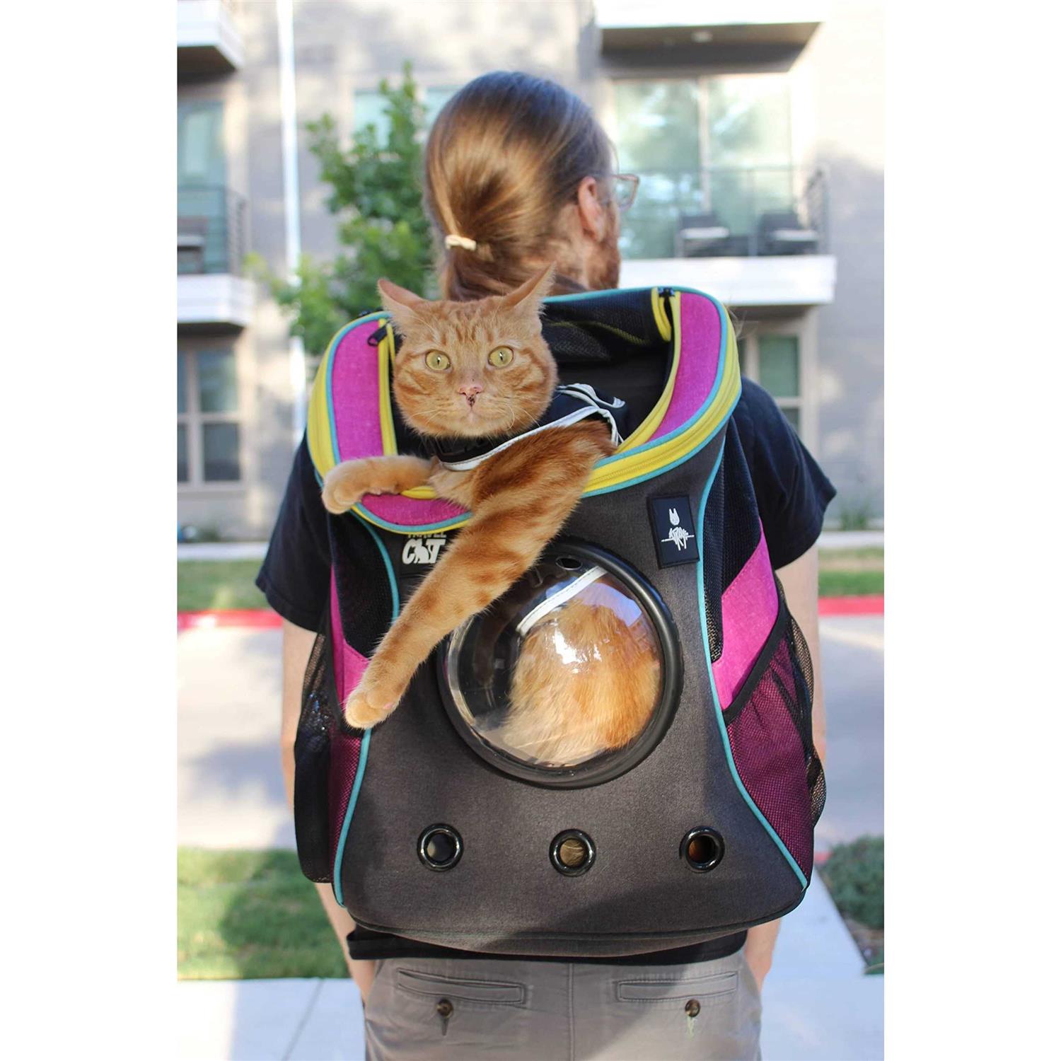 Cat Backpack Stray x Travel
