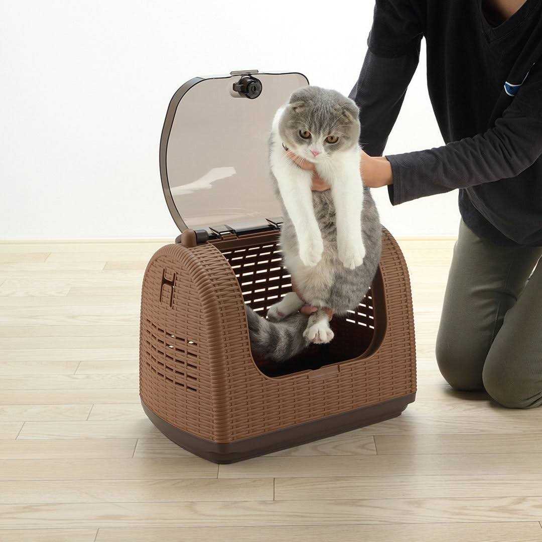 Richell Faux Wicker Pet Carrier