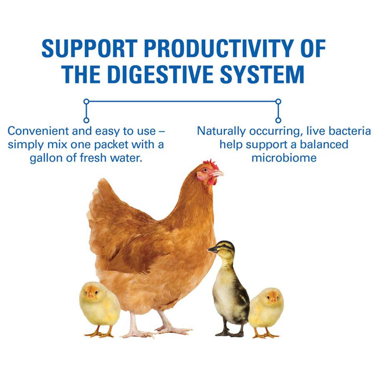 Sav-A-Chick Probiotic Supplement