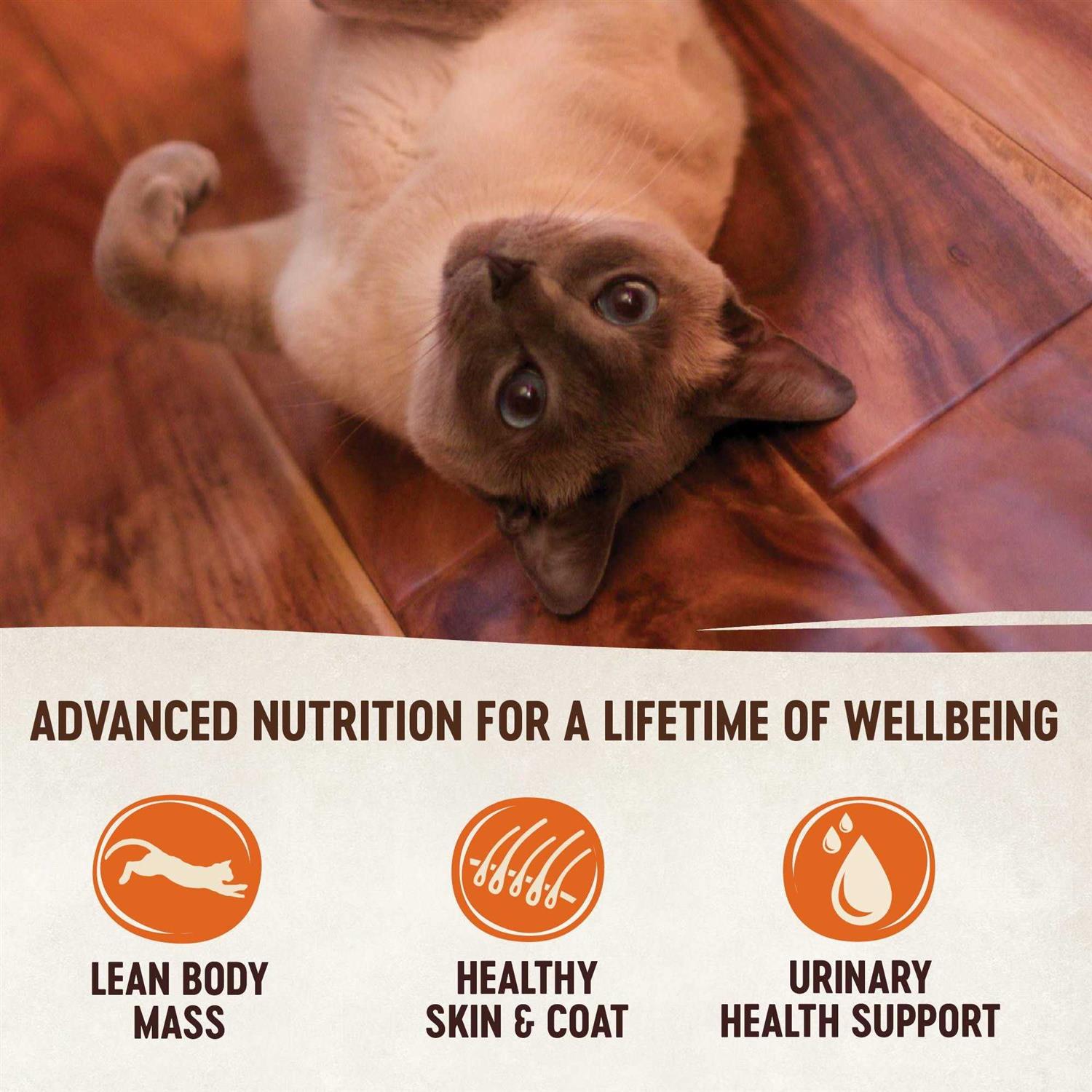 Wellness CORE Natural Grain-Free Chicken Turkey & Chicken Liver Pate Canned Cat Food