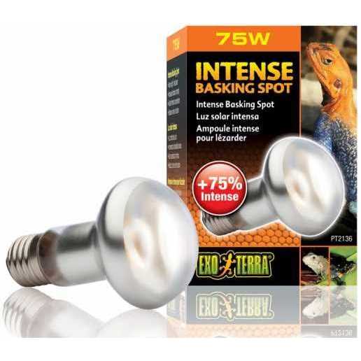 Exo Terra Intense Basking Spot