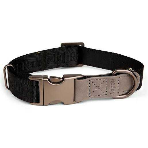 Reddy Dog Collar Jacquard