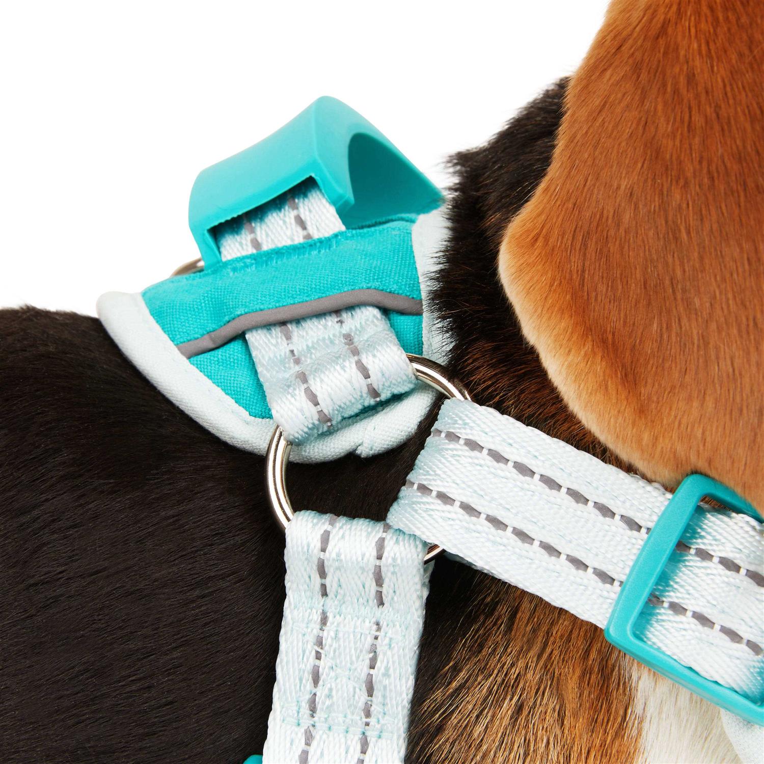 EveryYay Easy On Training Dog Harness