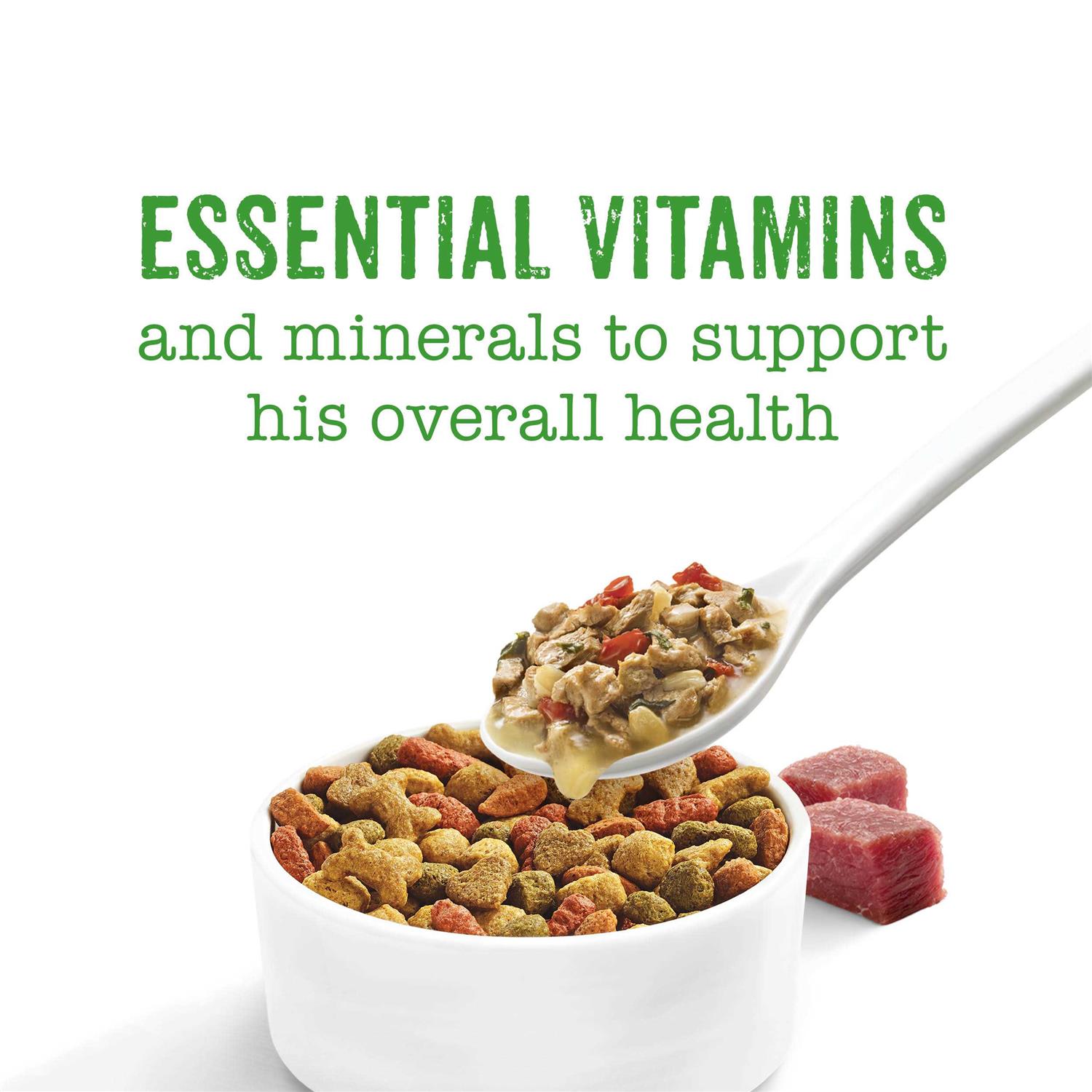 Purina Beneful Medleys Wet Dog Food